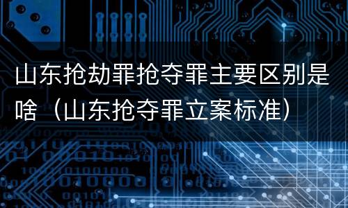 山东抢劫罪抢夺罪主要区别是啥（山东抢夺罪立案标准）