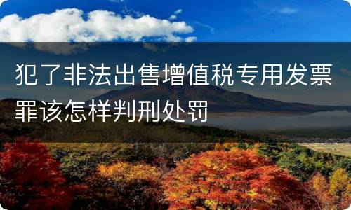 犯了非法出售增值税专用发票罪该怎样判刑处罚