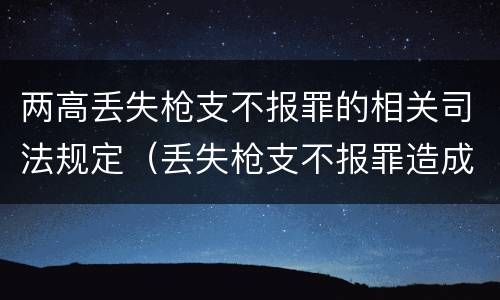 两高丢失枪支不报罪的相关司法规定（丢失枪支不报罪造成严重后果）