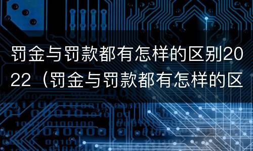 罚金与罚款都有怎样的区别2022（罚金与罚款都有怎样的区别2022年）