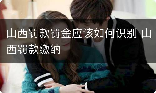 山西罚款罚金应该如何识别 山西罚款缴纳