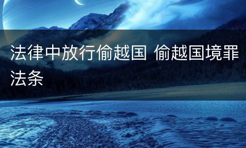 法律中放行偷越国 偷越国境罪法条
