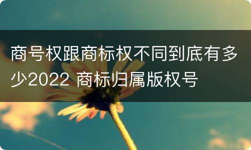 商号权跟商标权不同到底有多少2022 商标归属版权号