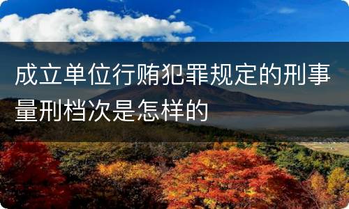 成立单位行贿犯罪规定的刑事量刑档次是怎样的