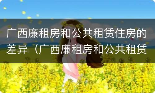 广西廉租房和公共租赁住房的差异（广西廉租房和公共租赁住房的差异是什么）