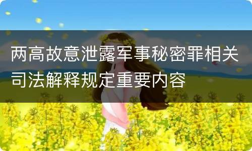 两高故意泄露军事秘密罪相关司法解释规定重要内容