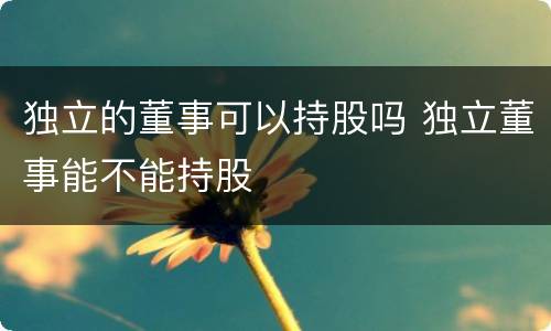 独立的董事可以持股吗 独立董事能不能持股