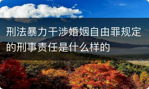 刑法暴力干涉婚姻自由罪规定的刑事责任是什么样的