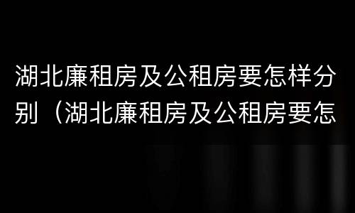 湖北廉租房及公租房要怎样分别（湖北廉租房及公租房要怎样分别摇号）