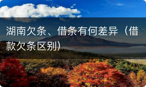 湖南欠条、借条有何差异（借款欠条区别）