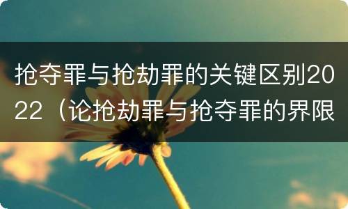 抢夺罪与抢劫罪的关键区别2022（论抢劫罪与抢夺罪的界限）