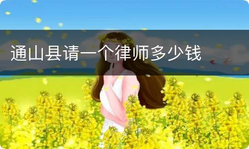 通山县请一个律师多少钱