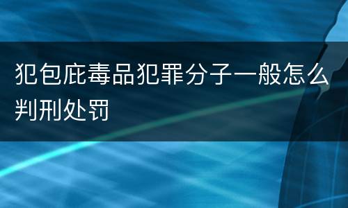 犯包庇毒品犯罪分子一般怎么判刑处罚