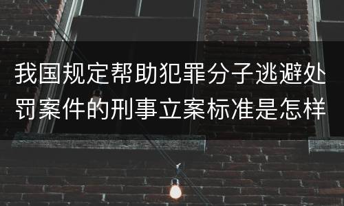 我国规定帮助犯罪分子逃避处罚案件的刑事立案标准是怎样的