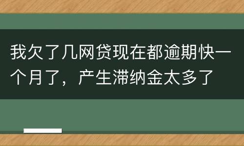 我欠了几网贷现在都逾期快一个月了，产生滞纳金太多了