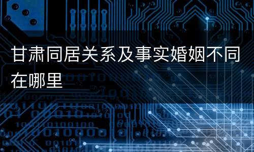 甘肃同居关系及事实婚姻不同在哪里