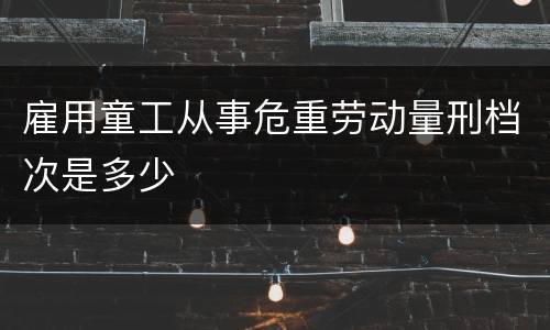 雇用童工从事危重劳动量刑档次是多少