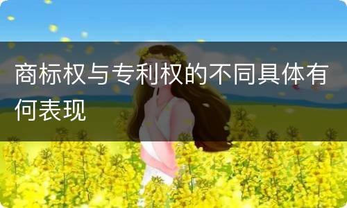 商标权与专利权的不同具体有何表现