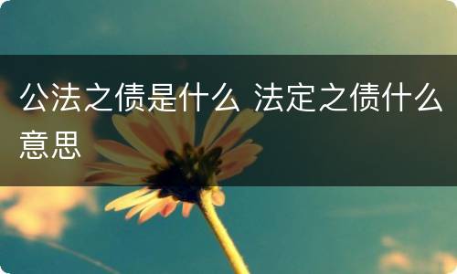 公法之债是什么 法定之债什么意思