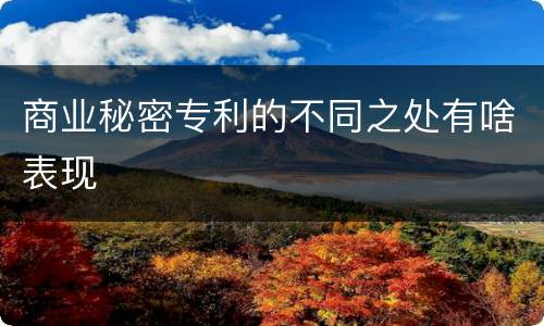 商业秘密专利的不同之处有啥表现