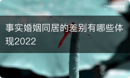 事实婚姻同居的差别有哪些体现2022