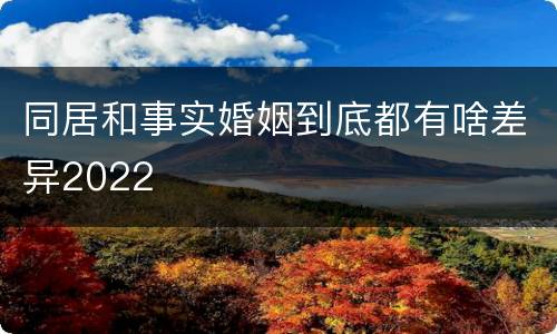 同居和事实婚姻到底都有啥差异2022
