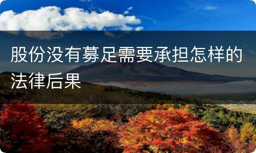 股份没有募足需要承担怎样的法律后果