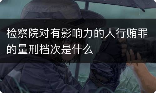 检察院对有影响力的人行贿罪的量刑档次是什么