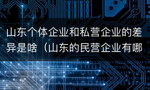 山东个体企业和私营企业的差异是啥（山东的民营企业有哪些）