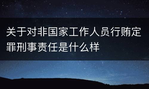 关于对非国家工作人员行贿定罪刑事责任是什么样