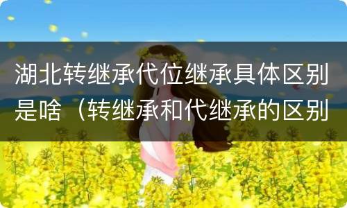湖北转继承代位继承具体区别是啥（转继承和代继承的区别）