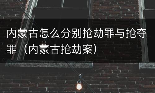 内蒙古怎么分别抢劫罪与抢夺罪（内蒙古抢劫案）