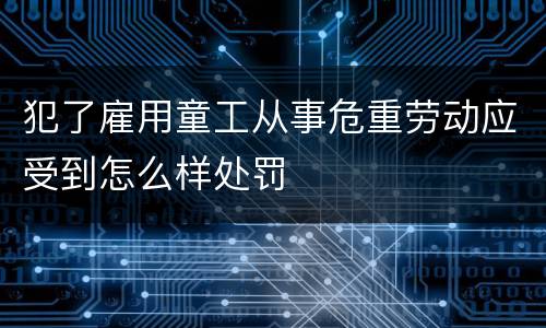犯了雇用童工从事危重劳动应受到怎么样处罚