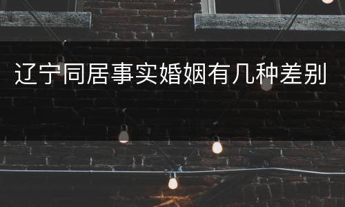 辽宁同居事实婚姻有几种差别