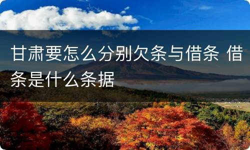 甘肃要怎么分别欠条与借条 借条是什么条据
