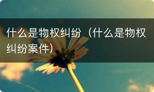 什么是物权纠纷（什么是物权纠纷案件）