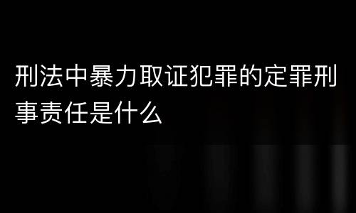 刑法中暴力取证犯罪的定罪刑事责任是什么
