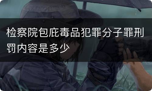 检察院包庇毒品犯罪分子罪刑罚内容是多少