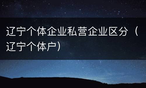 辽宁个体企业私营企业区分（辽宁个体户）
