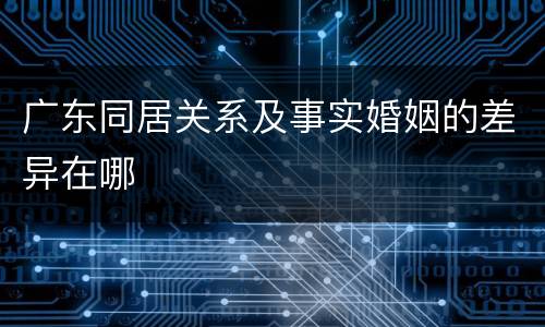 广东同居关系及事实婚姻的差异在哪