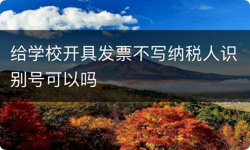给学校开具发票不写纳税人识别号可以吗