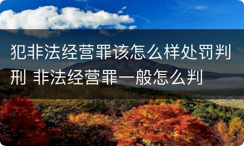 犯非法经营罪该怎么样处罚判刑 非法经营罪一般怎么判