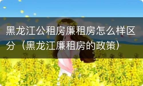 黑龙江公租房廉租房怎么样区分（黑龙江廉租房的政策）