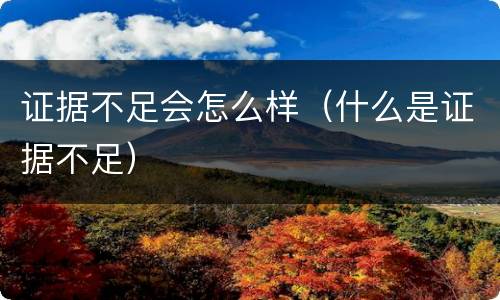 证据不足会怎么样（什么是证据不足）