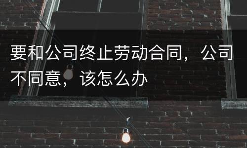 要和公司终止劳动合同，公司不同意，该怎么办