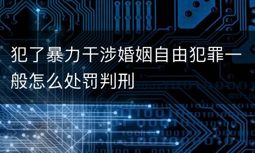 犯了暴力干涉婚姻自由犯罪一般怎么处罚判刑