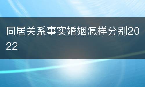 同居关系事实婚姻怎样分别2022
