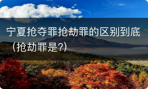 宁夏抢夺罪抢劫罪的区别到底（抢劫罪是?）