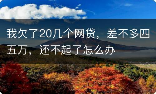 我欠了20几个网贷，差不多四五万，还不起了怎么办
