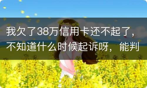我欠了38万信用卡还不起了，不知道什么时候起诉呀，能判刑几年